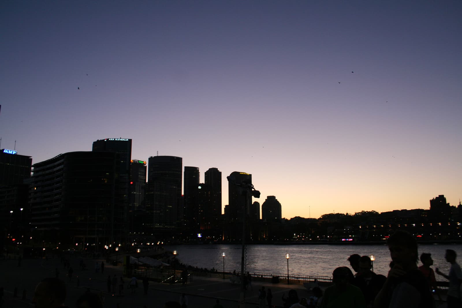 Sydney CBD skyline at dusk, looking across the harbour city
